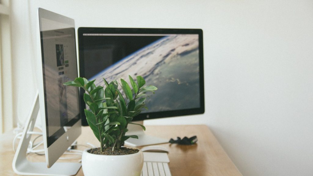 Màn hình OLED cho PC: đẹp hơn nhưng cần dùng đúng cách